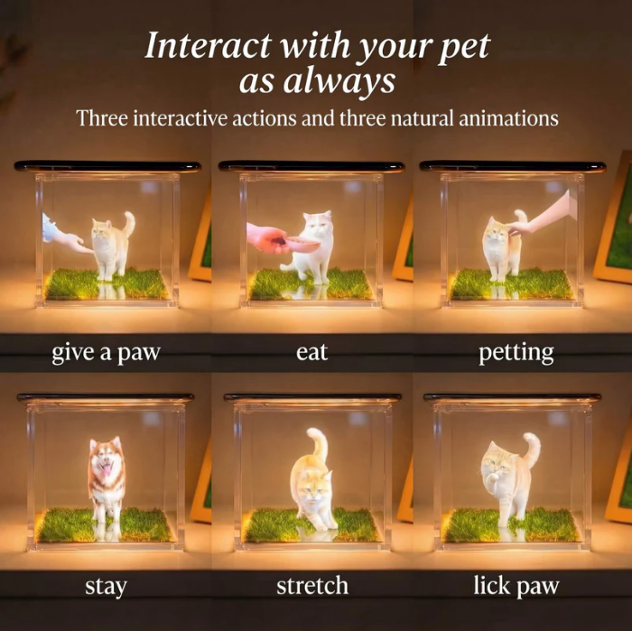 Pet & Human Hologram ™ Holographic Memory